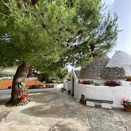 Trullo Le Radici Del Pino * Martina Franca